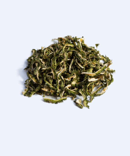 Scent leaves3 - Ofoodi African Store - Dried Scent Leaf - Efirin - 30g