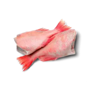 Frozen red bream - cut 1kg