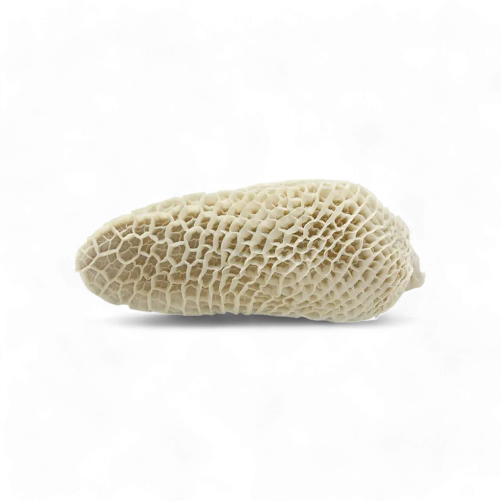 Frozen shaki honeycomb / saki - 1kg