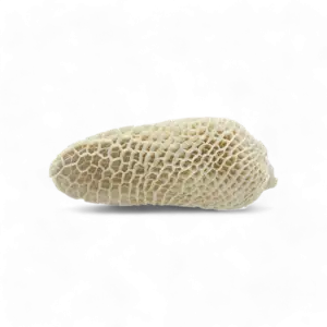 Frozen shaki honeycomb / saki - 1kg