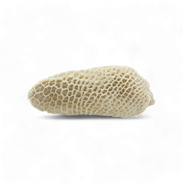 Frozen shaki honeycomb / saki - 1kg