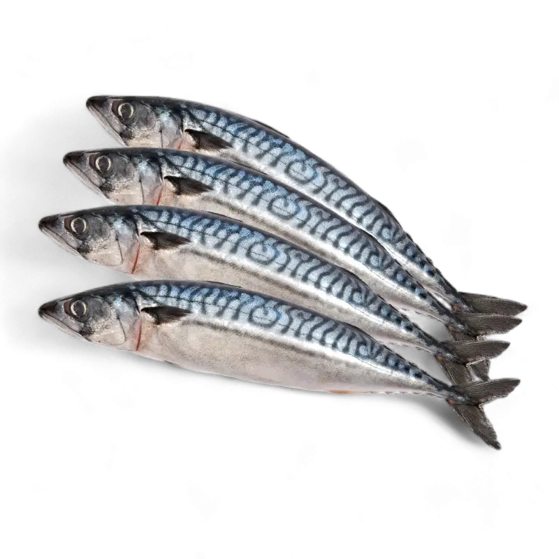 Whole mackerel 5kg