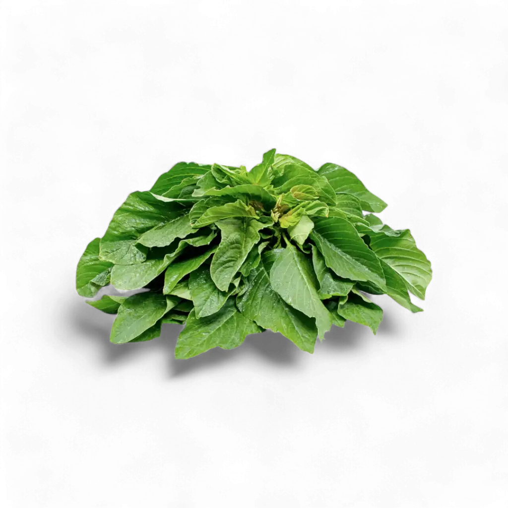 Fresh tete leaves - african spinach