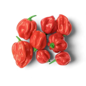 Atarodo scotch bonnet chilli peppers (hot pepper) 150g