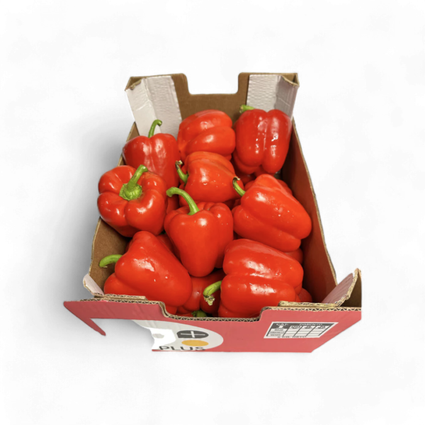 Red bell pepper box 3.5kg