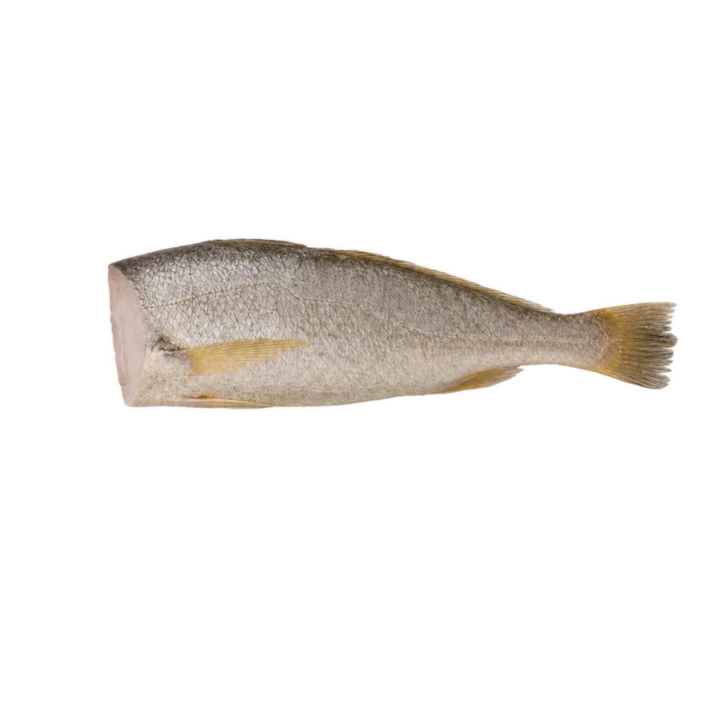headless whole croaker cutout